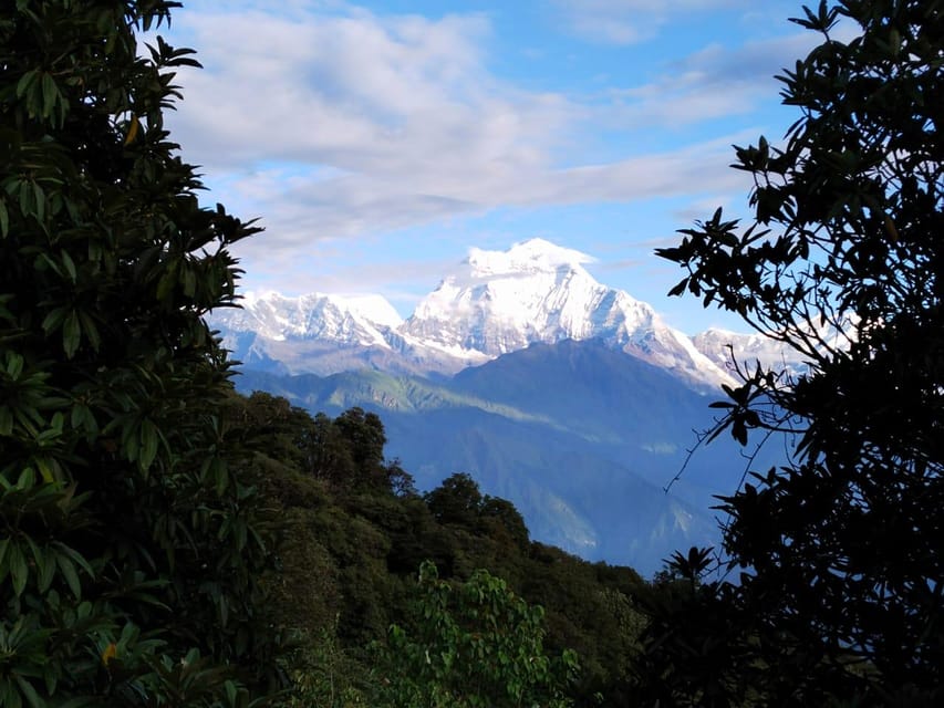 From Pokhara: 5 Day Poon Hill with Natural Hot Spring Trek photo 4