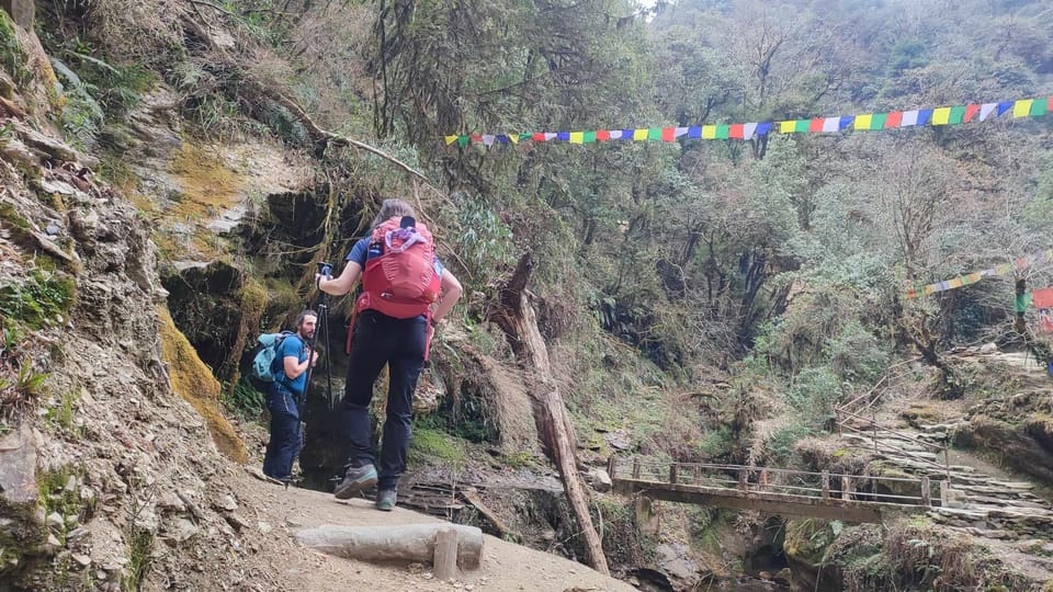 Ghorepani Poon Hill Trek - 4 Days (Full Package) photo 4