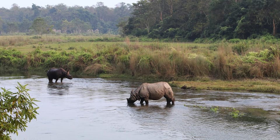 Chitwan 1 Night 2 Day Wildlife Adventure photo 3