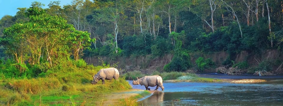 Chitwan 1 Night 2 Day Wildlife Adventure photo 4