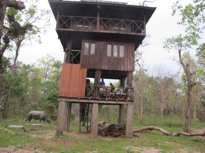 From Pokhara: 2-Day Chitwan National Park Safari Tour photo 2