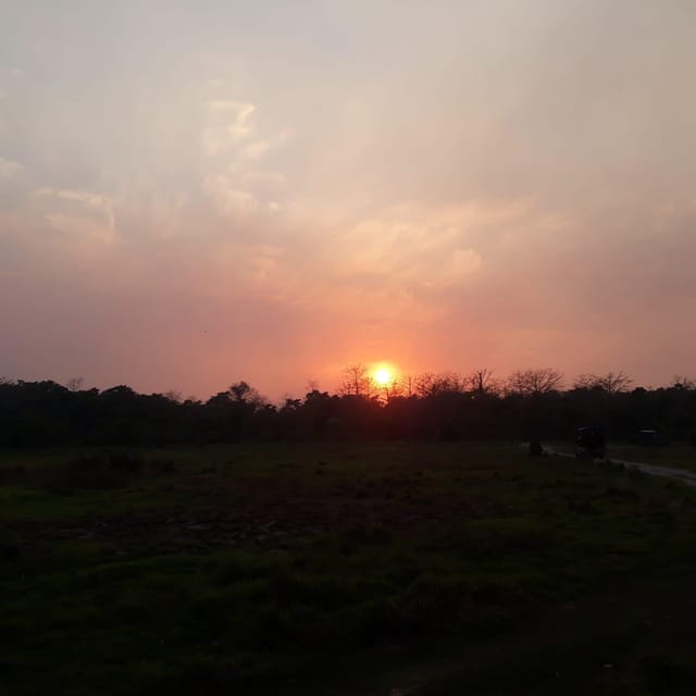 From Pokhara: 2-Day Chitwan National Park Safari Tour photo 4