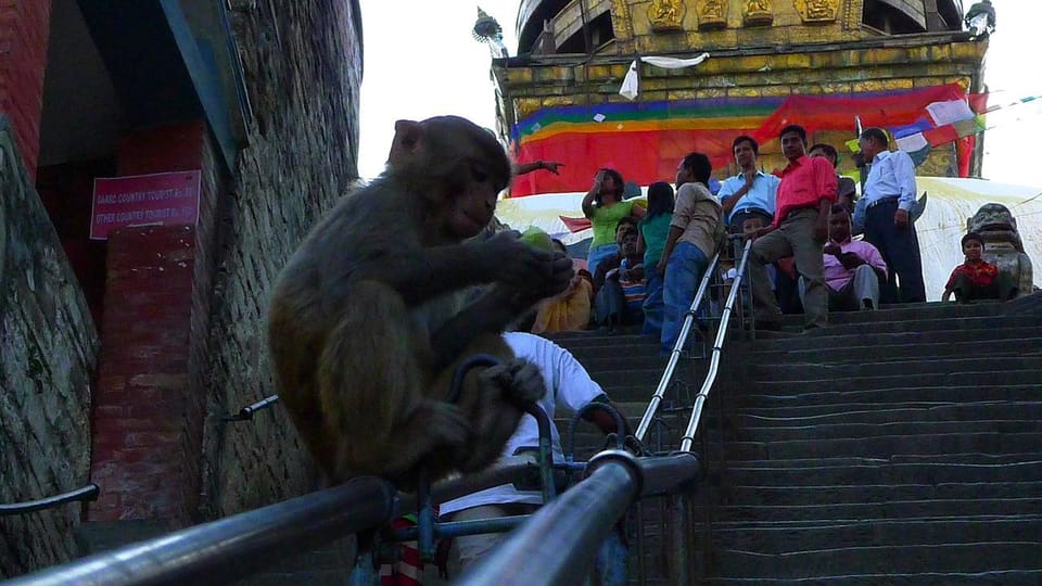 Kathmandu City Walking Tour photo 4