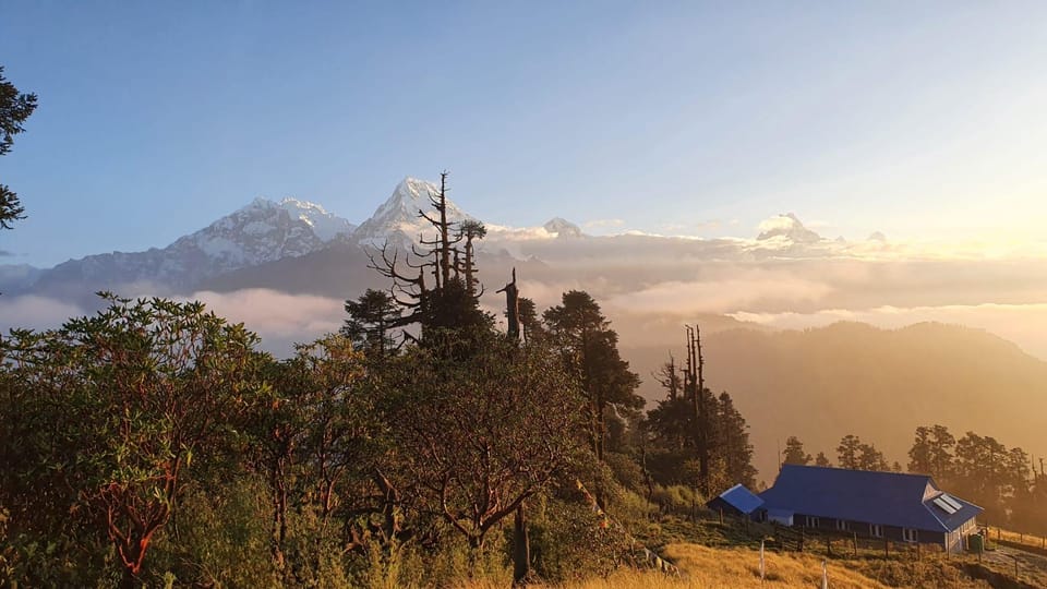 From Pokhara: 4 Day Budget Poon Hill Trek Fixed Deprature photo 2