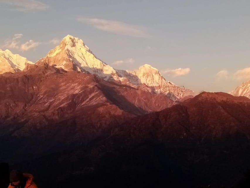 From Pokhara: 4 Day Budget Poon Hill Trek Fixed Deprature photo 3