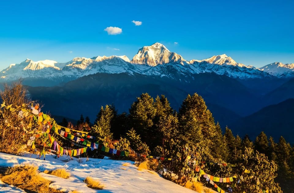 From Pokhara: 4 Days Trek to Ghorepani, Poon Hill & Ghandruk photo 5