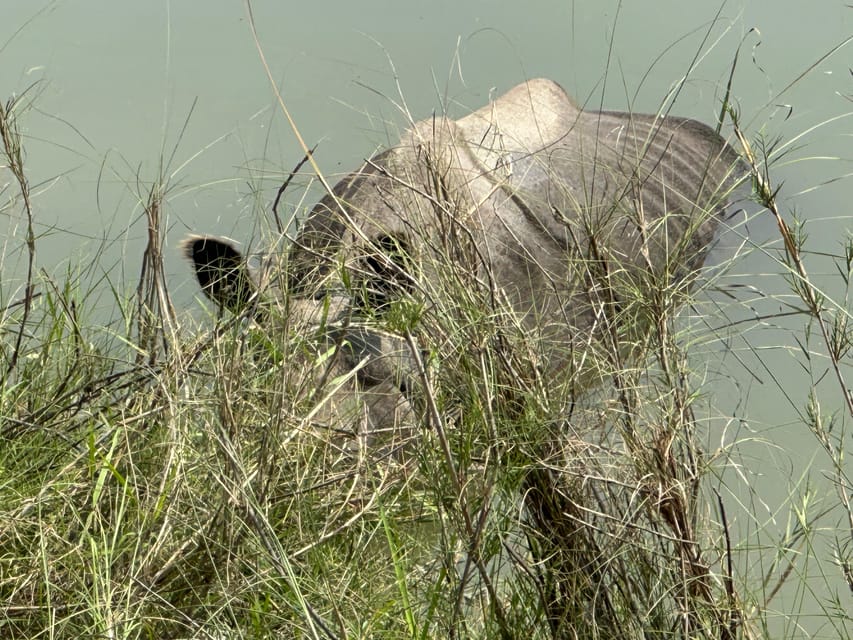 Chitwan Jungle Safari 3 Days- From Kathmandu or Pokhara photo 3