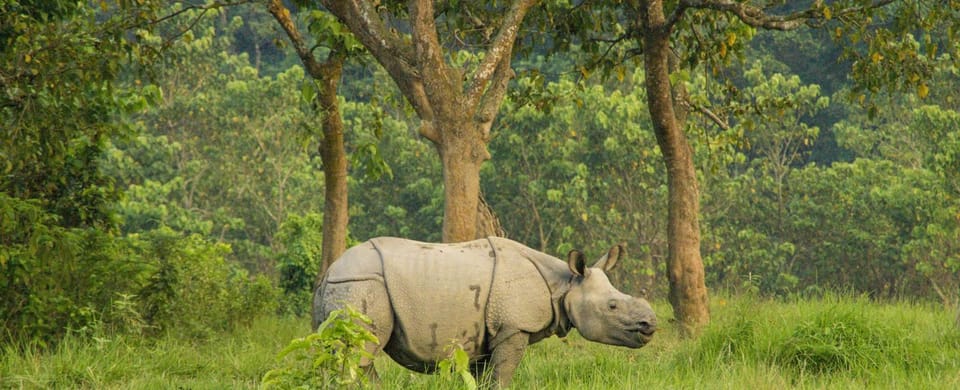Kathmandu: 1-Way Flight Ticket to Chitwan Bharatpur photo 2