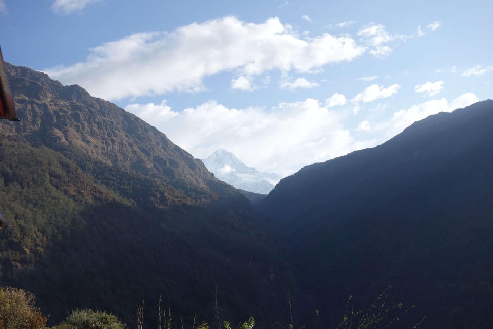 Ghorepani Poonhill Trek - 3 N 4 Days (Pokhara to Pokhara) photo 5