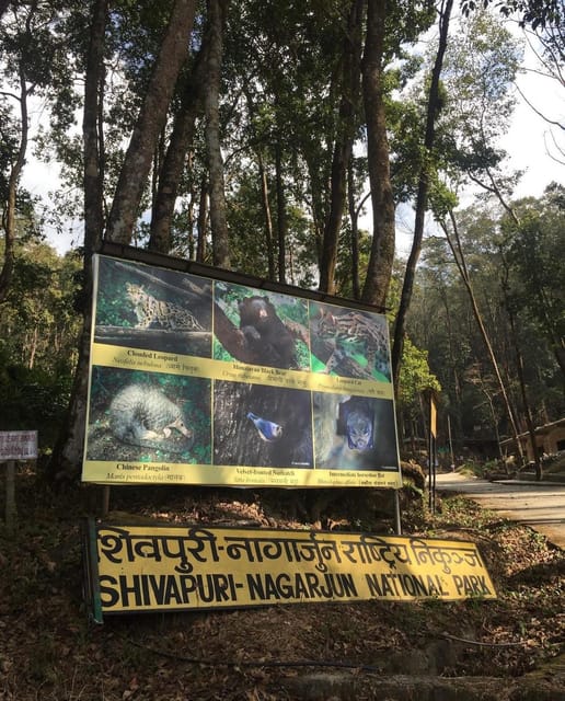 Kathmandu: Jamacho( Nagarjung Danda) Day Hike photo 2