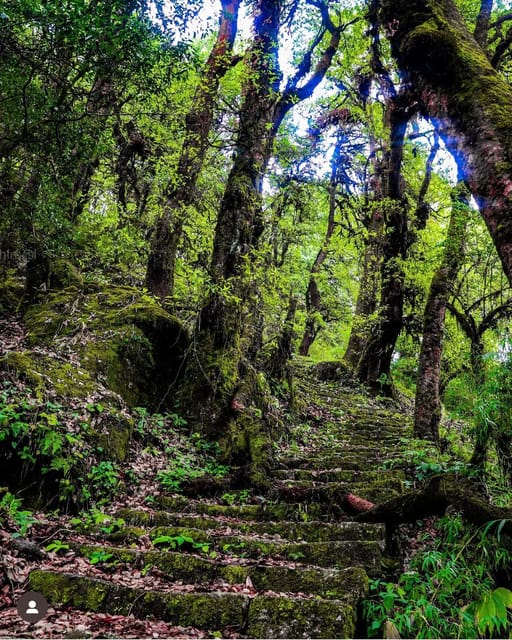 Kathmandu: Jamacho( Nagarjung Danda) Day Hike photo 4