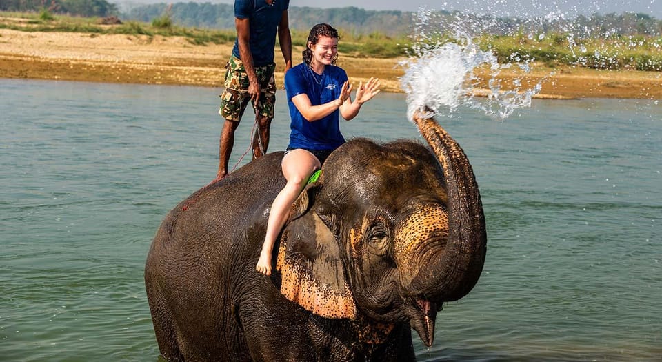 2 Night 3 Days Chitwan National Park/From Kathmandu/Pokhra photo 2