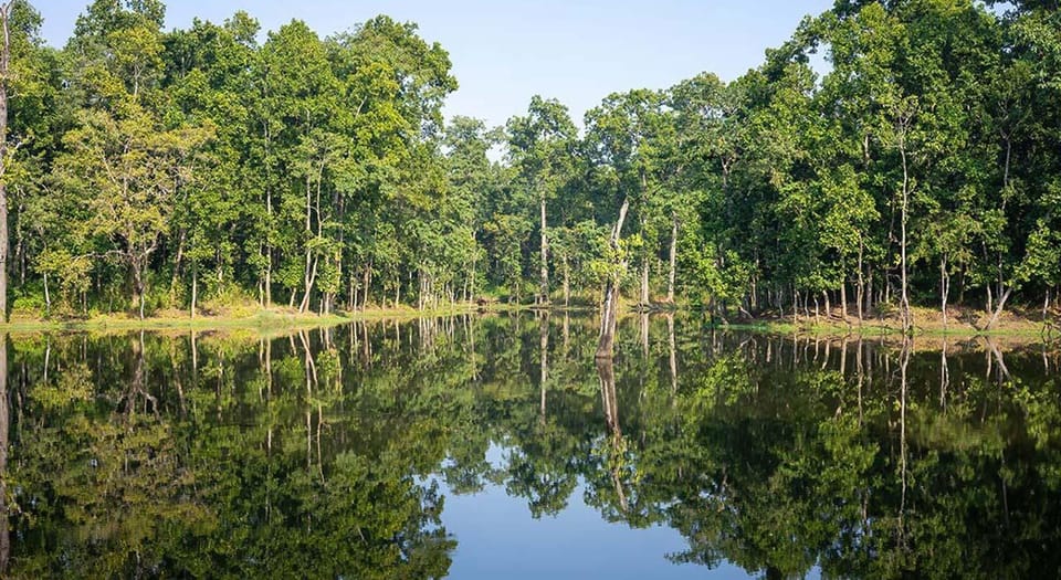 2 Night 3 Days Chitwan National Park/From Kathmandu/Pokhra photo 5