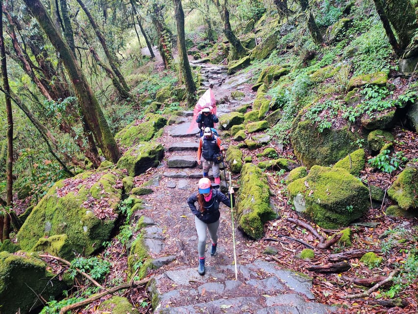 From Kathmandu: 5-Day ABC Trek with One-Way Flight photo 4