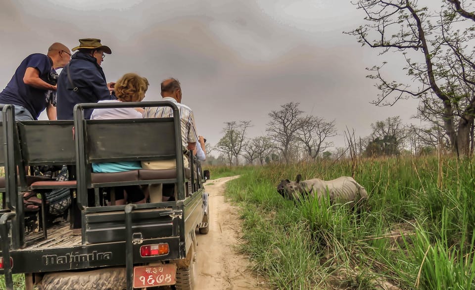 From Kathmandu/Pokhara: 3-Day Chitwan National Park Tour photo 3