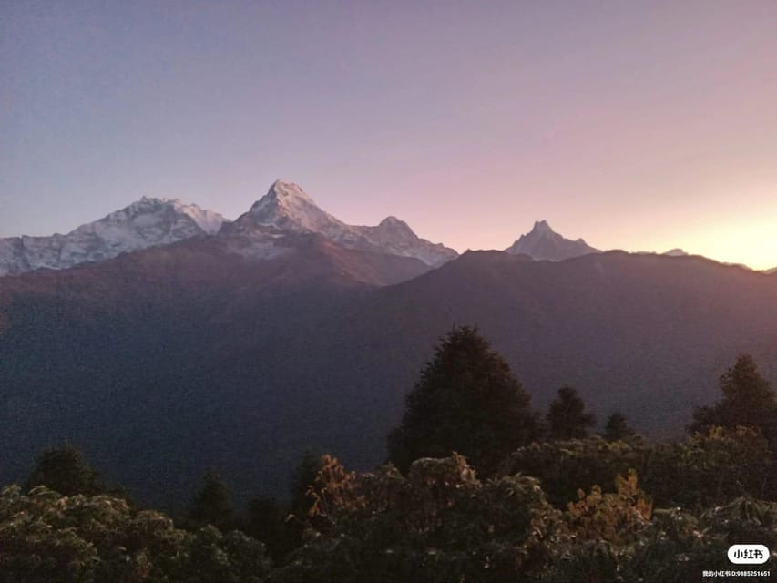 Pokhara: 3-Day Easy pulse Poon Hill Trek. photo 4