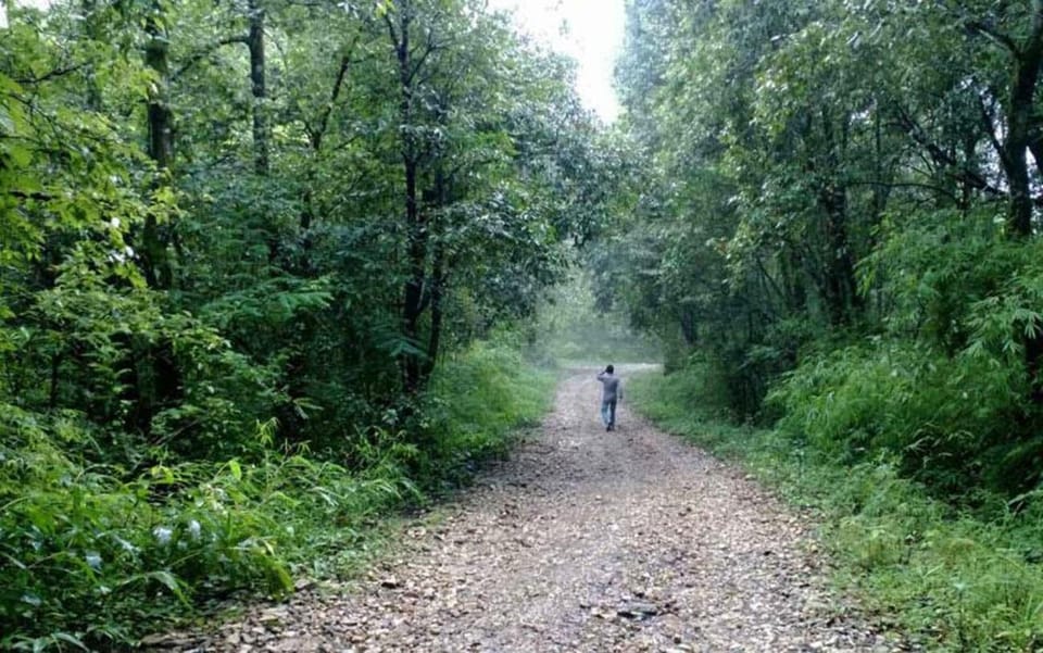 A day hiking from Kathmandu: Phulchowki Hill photo 2
