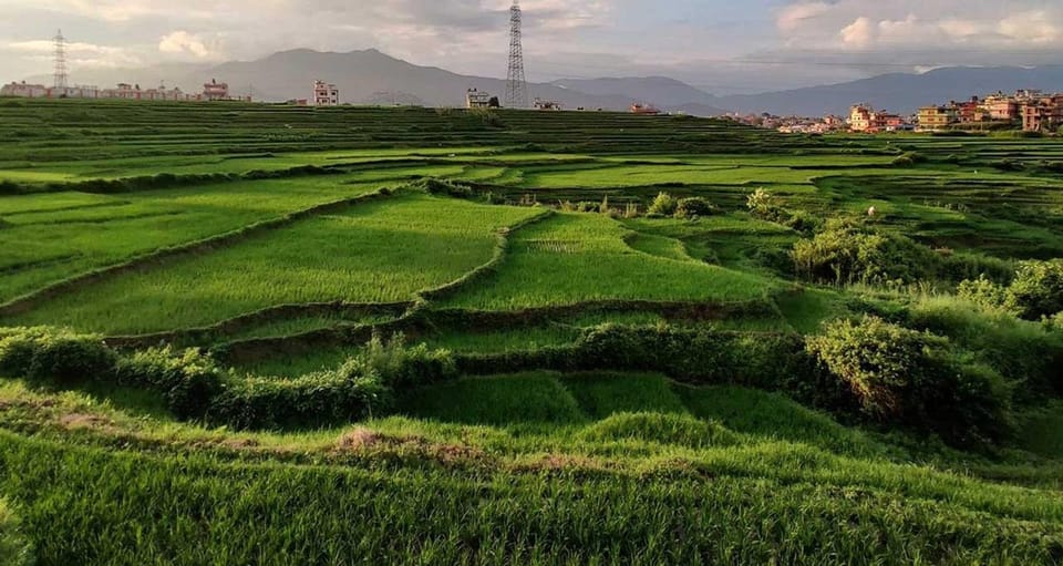 A day hiking from Kathmandu: Phulchowki Hill photo 4