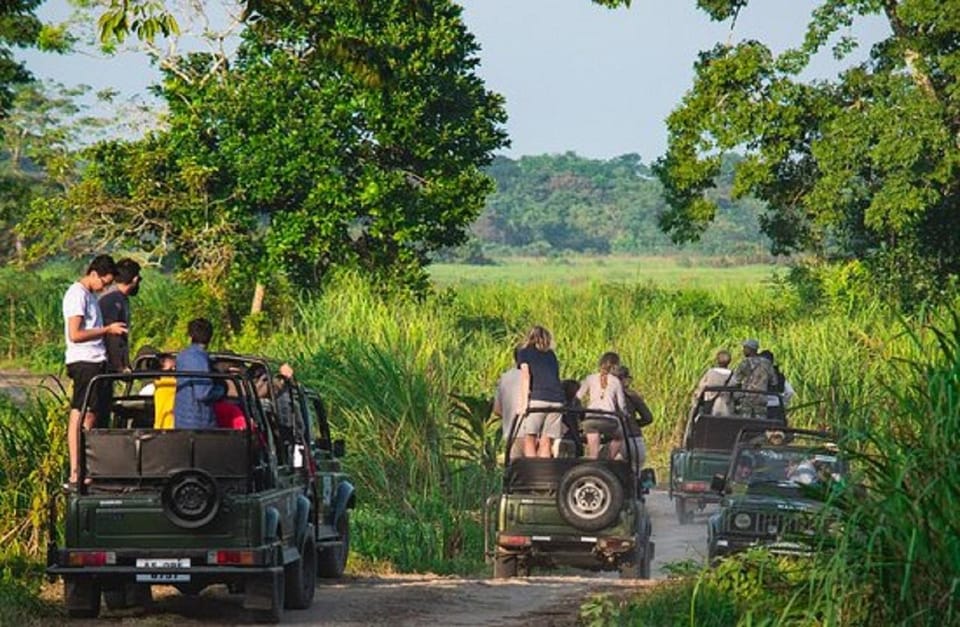 Chitwan Jungle safari 2 Nights 3 Days from Kathmandu photo 2