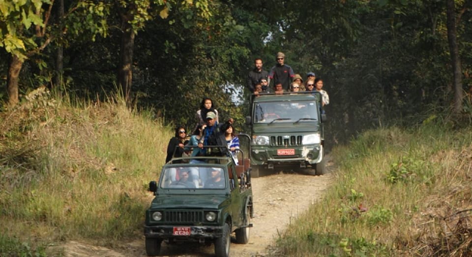 Chitwan Jungle safari 2 Nights 3 Days from Kathmandu photo 3