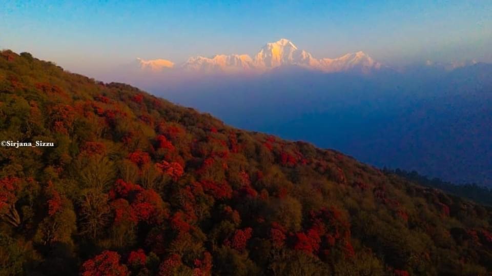 Pokhara: 7-Day Annapurna Base Camp Via PoonHill & Hot Spring photo 3