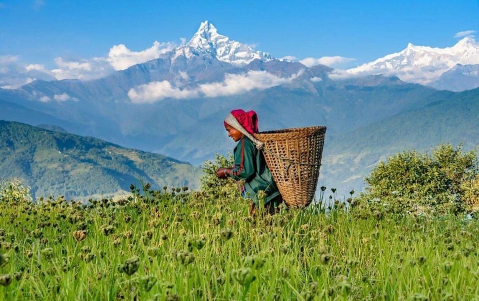 Pokhara : Day Hike to Astham & Dhampus Village photo 3