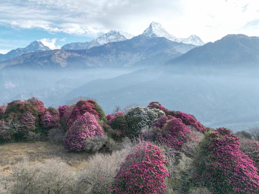 Kathmandu: 7-Day Annapurna Base Camp Via PoonHill Hot Spring photo 5