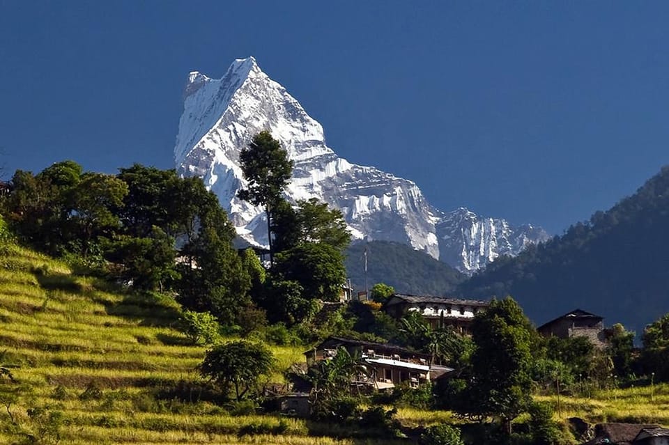 7 Days Mardi Himal Trek From Kathmandu photo 4