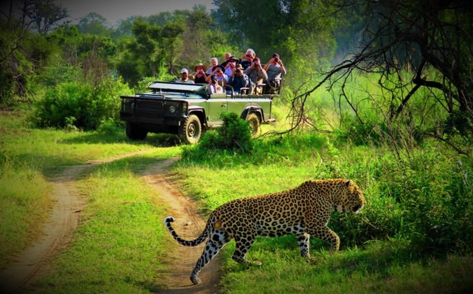Pokhara : 4 Day Lumbini and Chitwan Safari Tour By Car photo 3