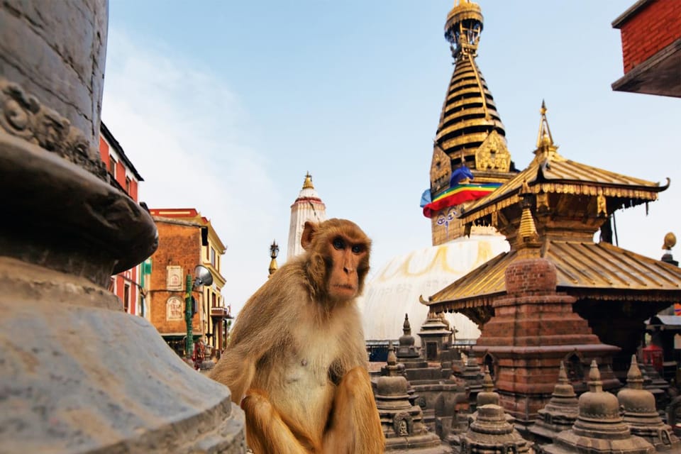 From Kathmandu: Iconic Chandragiri Hill & Monkey Temple Tour photo 2