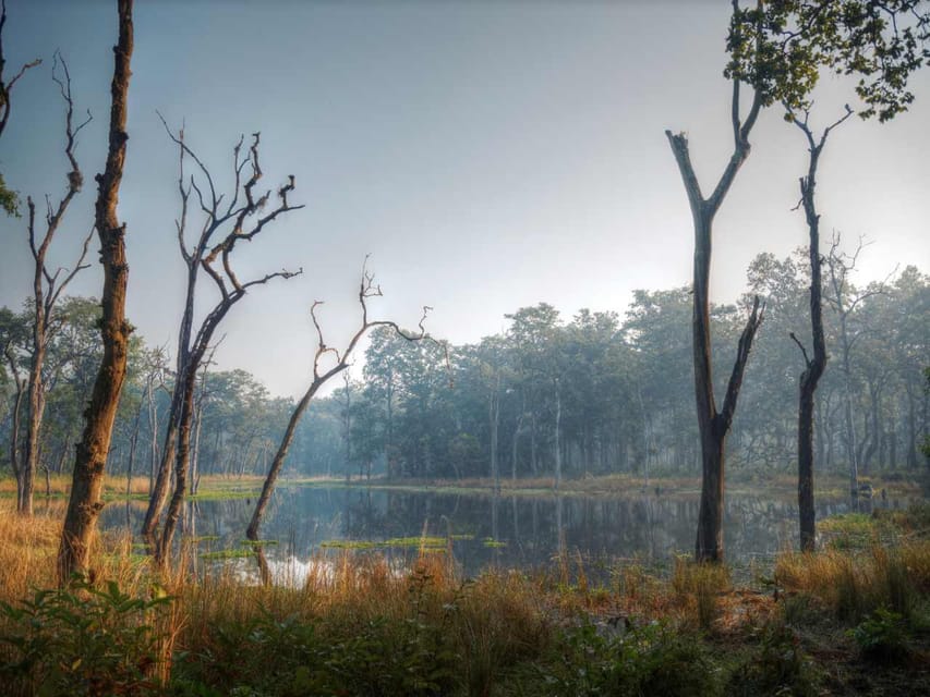 Chitwan Jungle Safari 3 Days – Wildlife & Culture photo 2