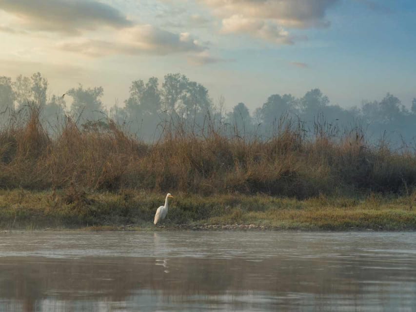 Chitwan Jungle Safari 3 Days – Wildlife & Culture photo 4
