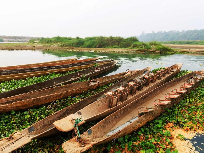 Chitwan Jungle Safari 3 Days – Wildlife & Culture photo 5