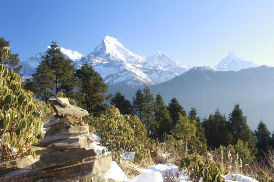 Discover Nepal: 12 Day Trekking and Wildlife Expedition photo 3