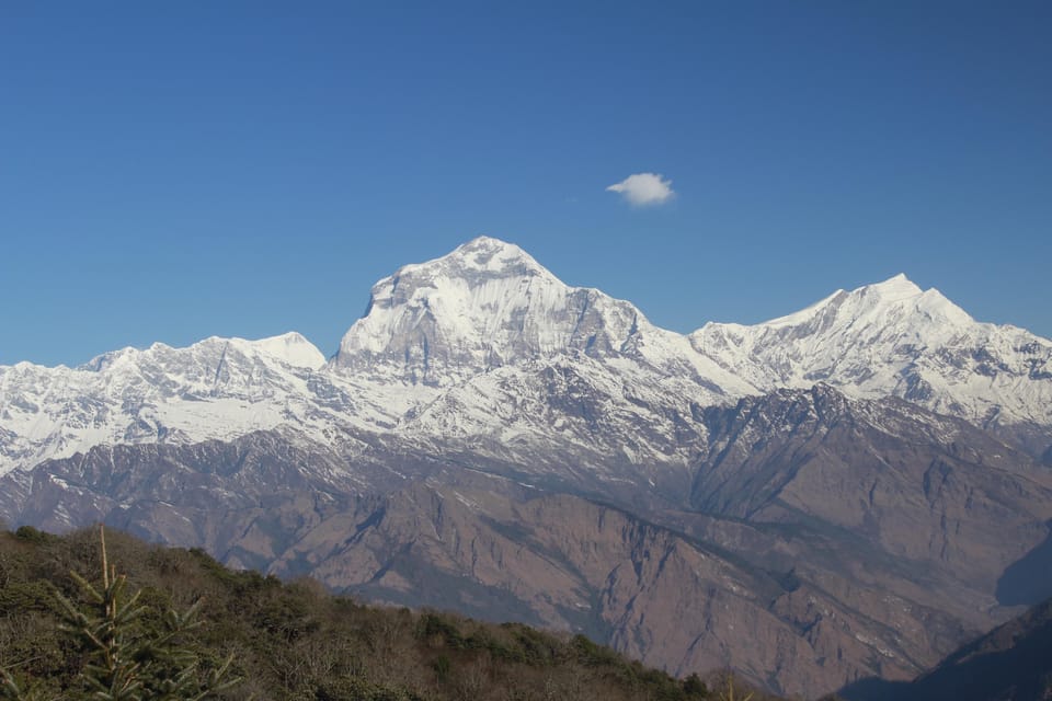 Discover Nepal: 12 Day Trekking and Wildlife Expedition photo 5