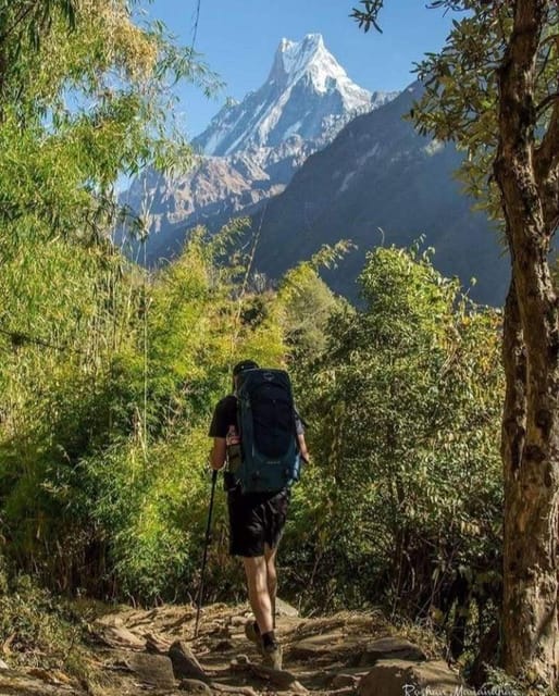 5 Days Annapurna Base Camp Trek photo 3