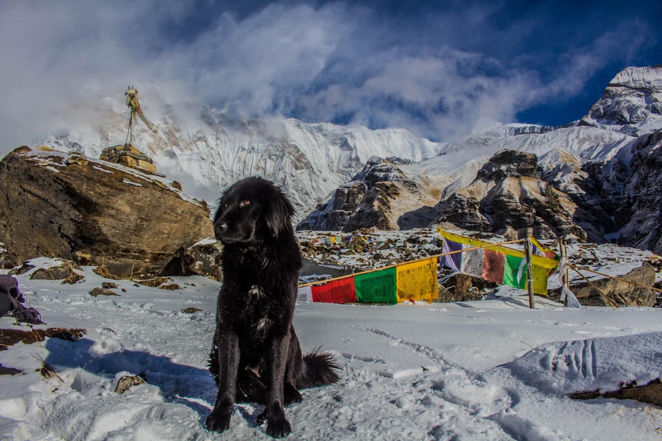 5 Days Annapurna Base Camp Trek photo 5