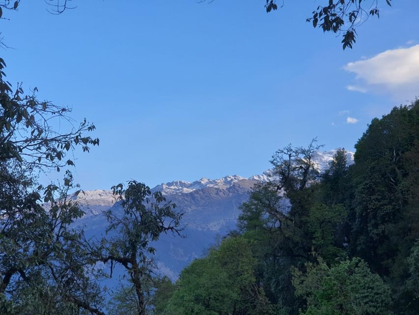 Pokhara: 5-Day Mardi Himal Base Camp Trek with Transfers photo 4