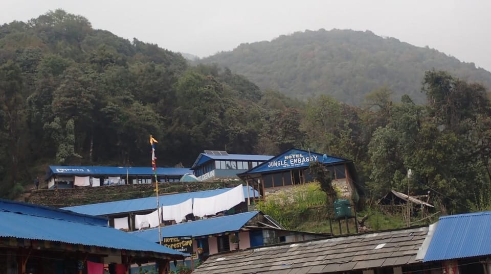 Pokhara: 5-Day Mardi Himal Base Camp Trek with Transfers photo 5