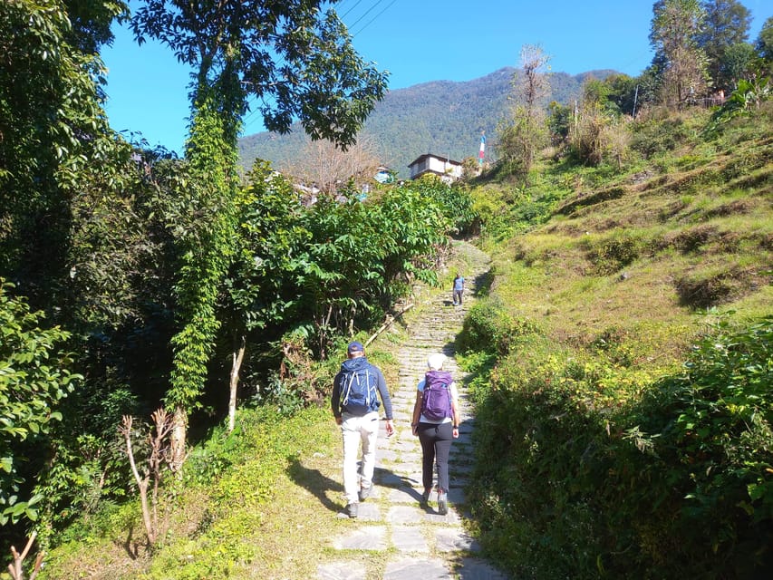 From Pokhara: 2-Day Poon Hill Trek with Sunrise View photo 2