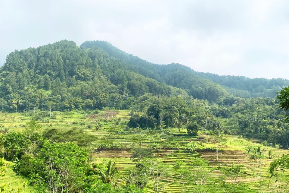 Borobudur: Nepal Van Java & Selogriyo Rice Terraces Private photo 2