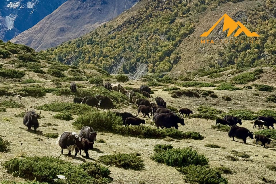 Kathmandu: 9-Day Annapurna Circuit Trek via Thorong La Pass photo 5