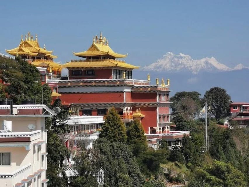 Namo Buddha and Thrangu Tashi Yangtse Monastery Tour photo 3