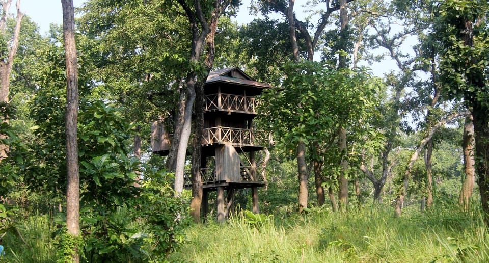 3 Nights 4 Days: Chitwan National Park with Tower Night Stay