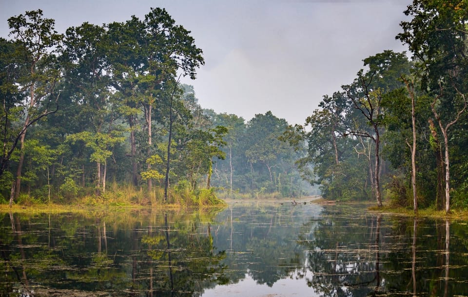 3 Nights 4 Days: Chitwan National Park with Tower Night Stay photo 3
