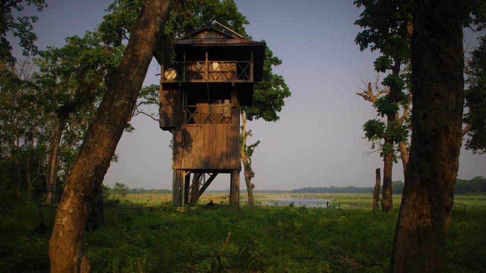 3 Nights 4 Days: Chitwan National Park with Tower Night Stay photo 4