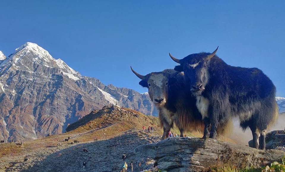4 Days Pikey Peak Trek : The Best View of Mt Everest photo 5