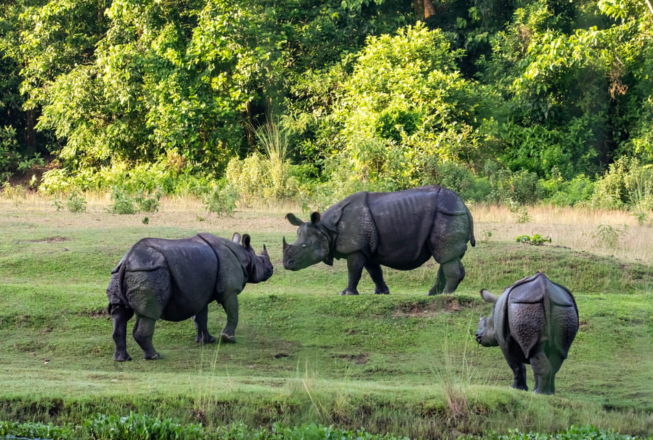 Chitwan 3 nights package from Kathmandu or Pokhara photo 3