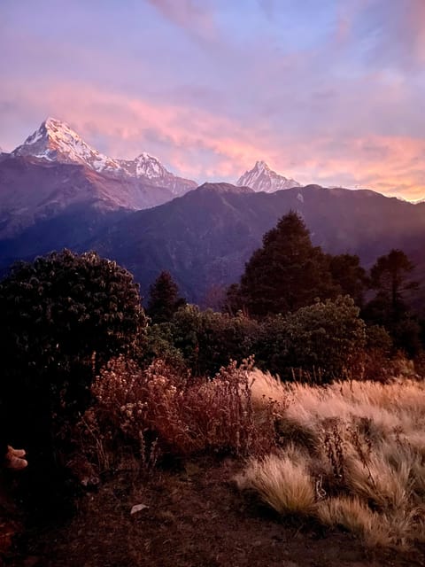 Pokhara: 3-Day Poon Hill Trek with Sunrise View photo 4