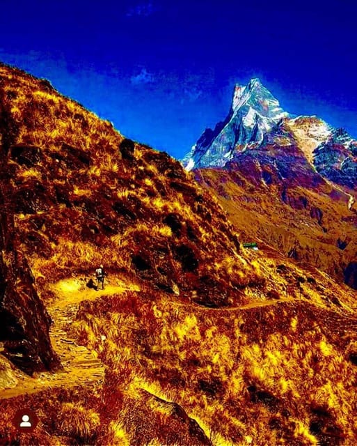 Pokhara: Mardi Himal Trek with 1 Night in a Forest Camp photo 4